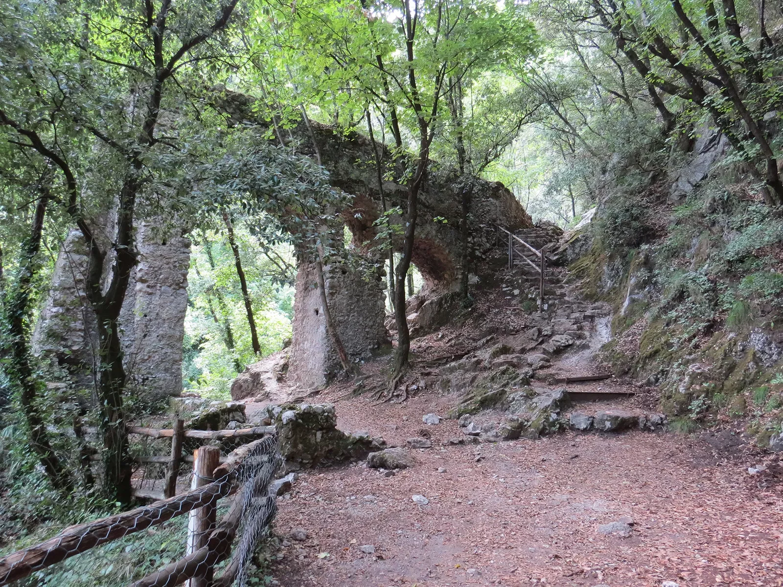 Shot of old, rocky bridge in forest.