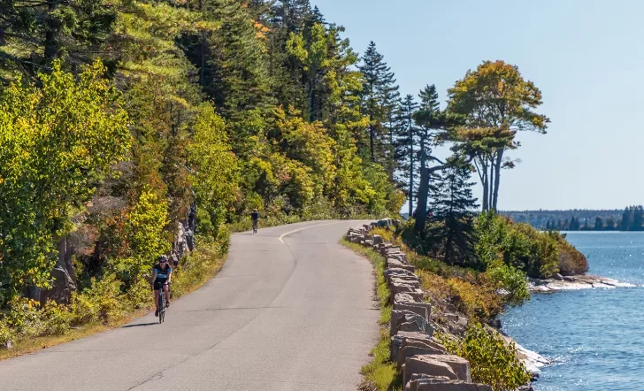 Guest biking along coastal road, trees on their right.