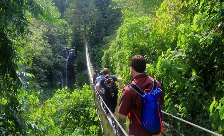 Guests Hiking Sky Bridge Jungle Costa Rica