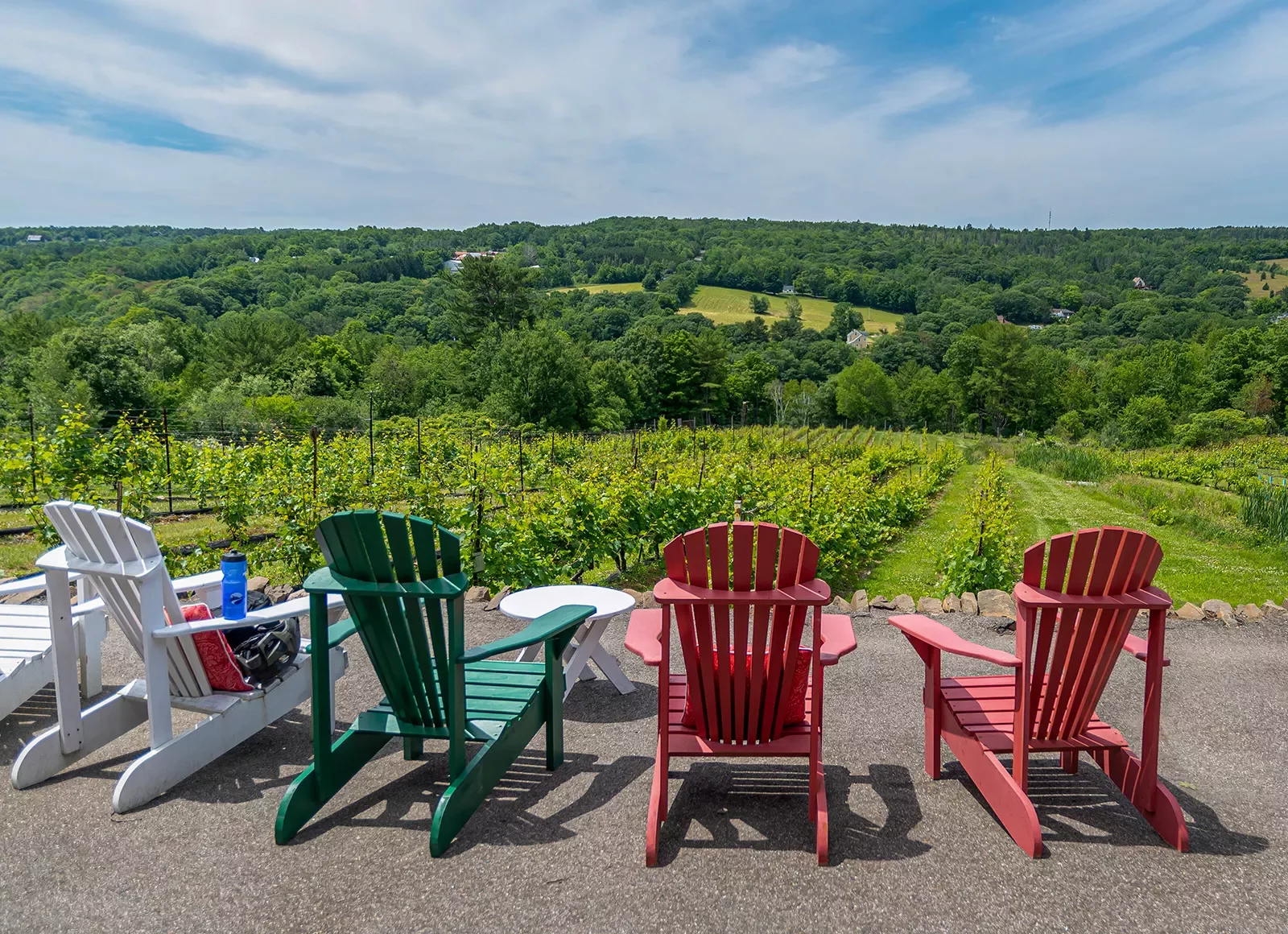 Four seats facing out towards a vineyard and forest.