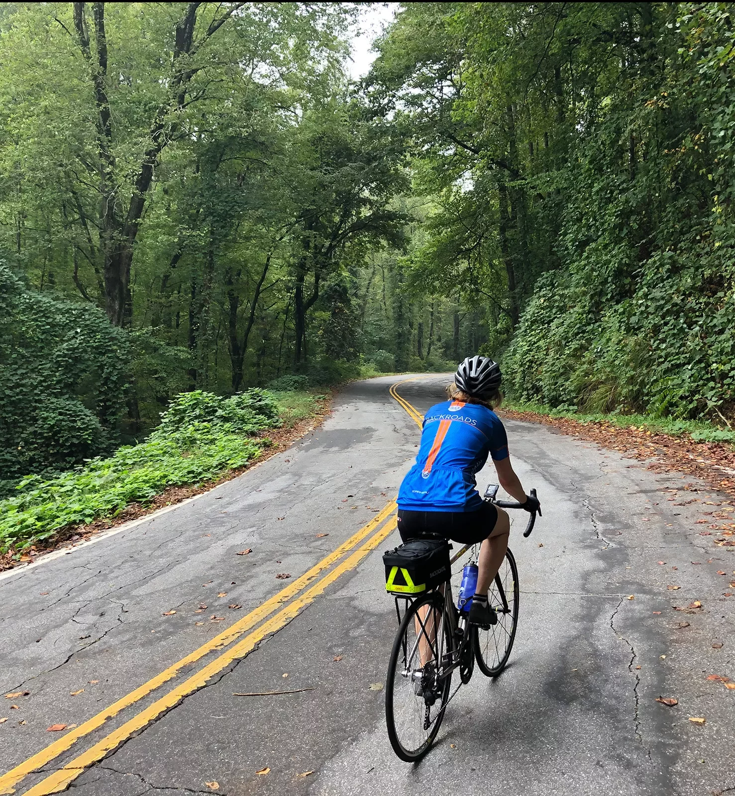 Guest biking down shady, forested road.