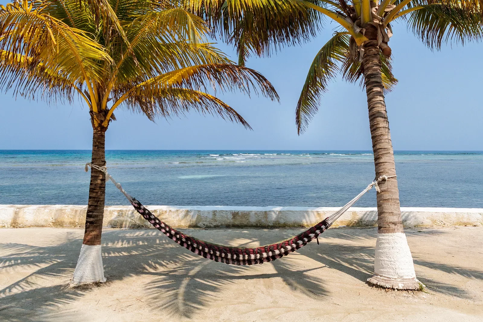 Hammock Suspended Between Two Palm Trees