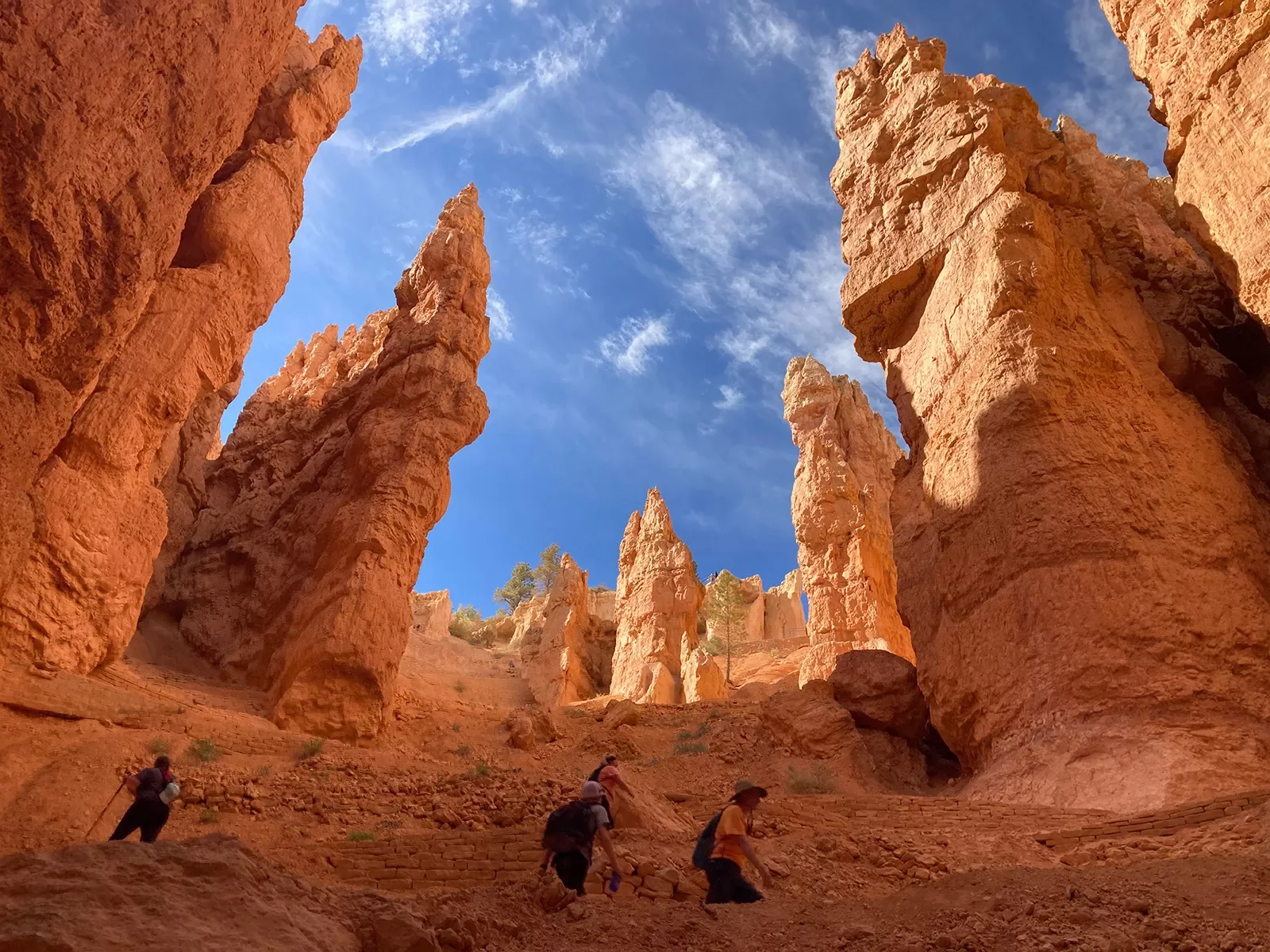 Guests hiking among hoodoos, camera pointed to sky.