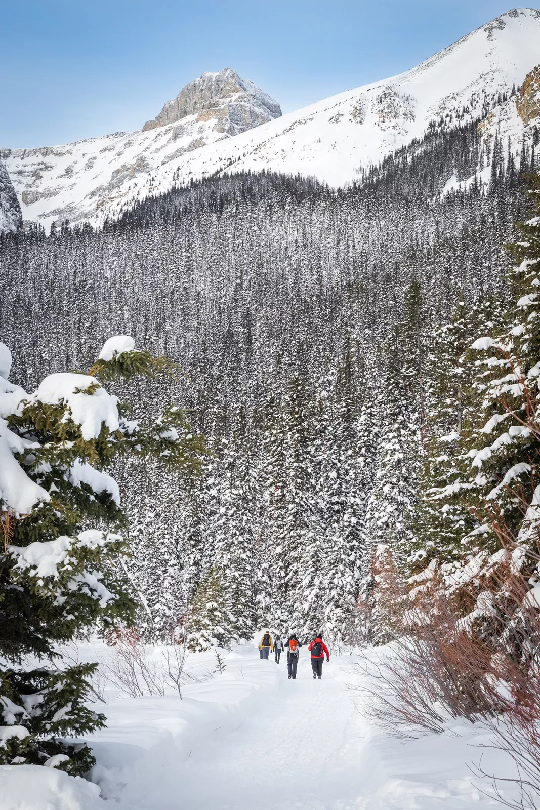 Group of guests walking in snowy forest clearing, large snowcaps in distance.