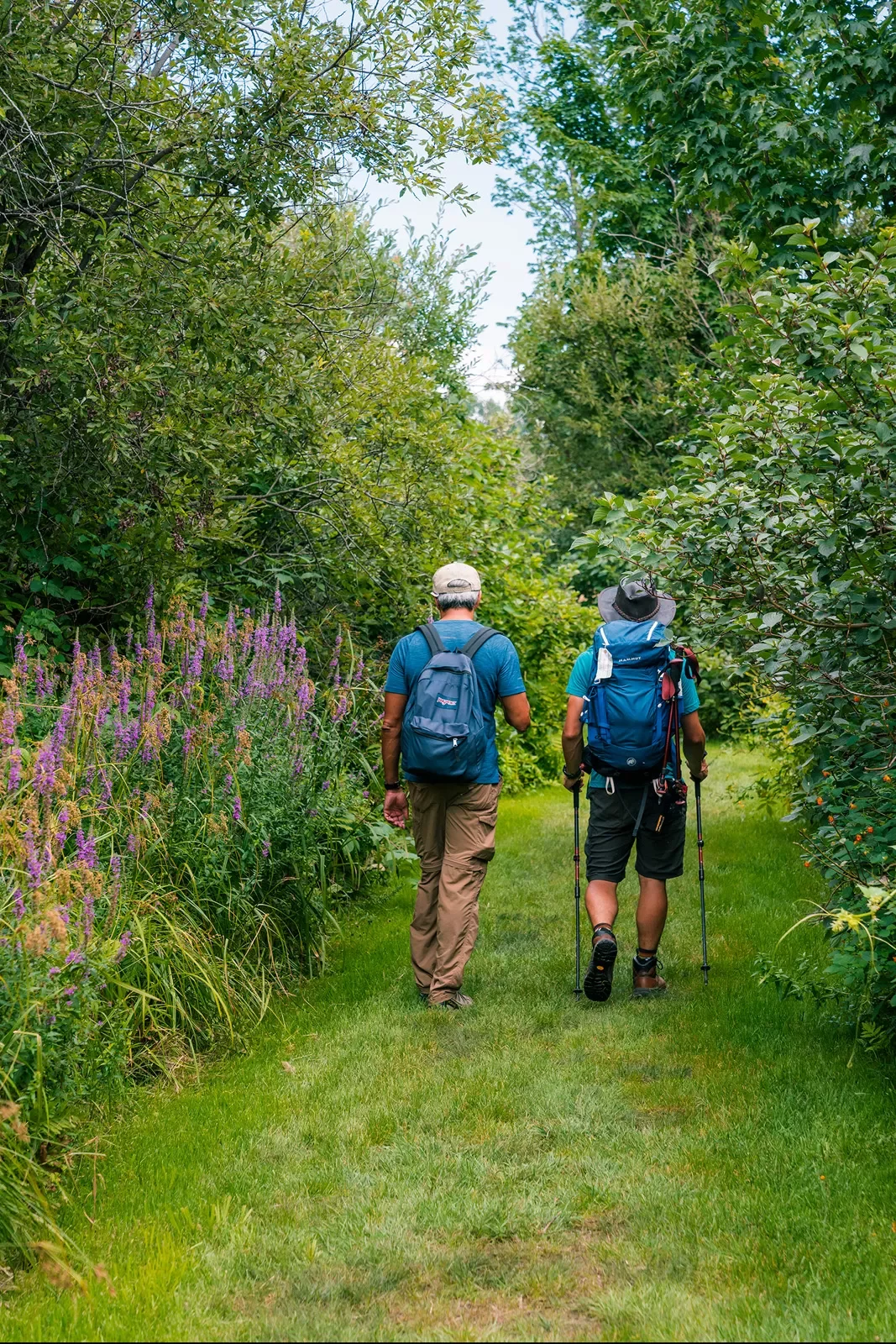 Two guests hiking down grassy path, lilac bushes to their left.