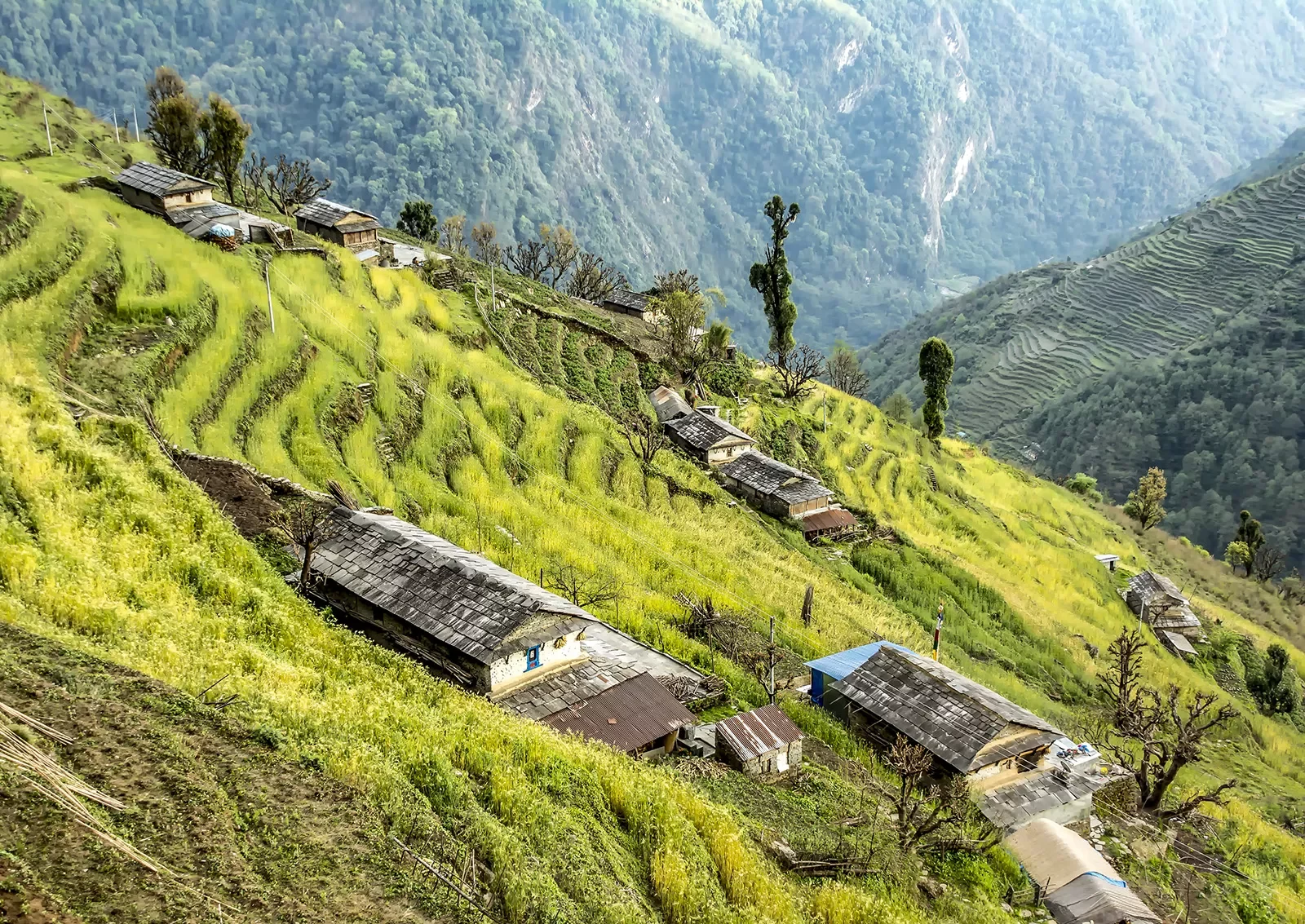 Terraced hillside in Nepal