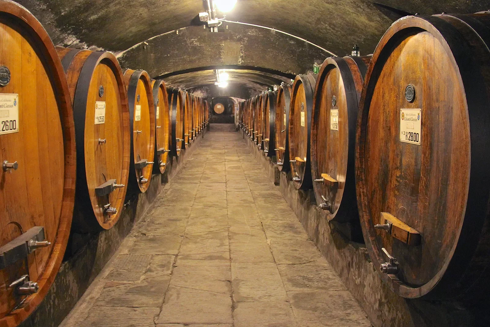 Shot of wine cellar, large barrels everywhere.