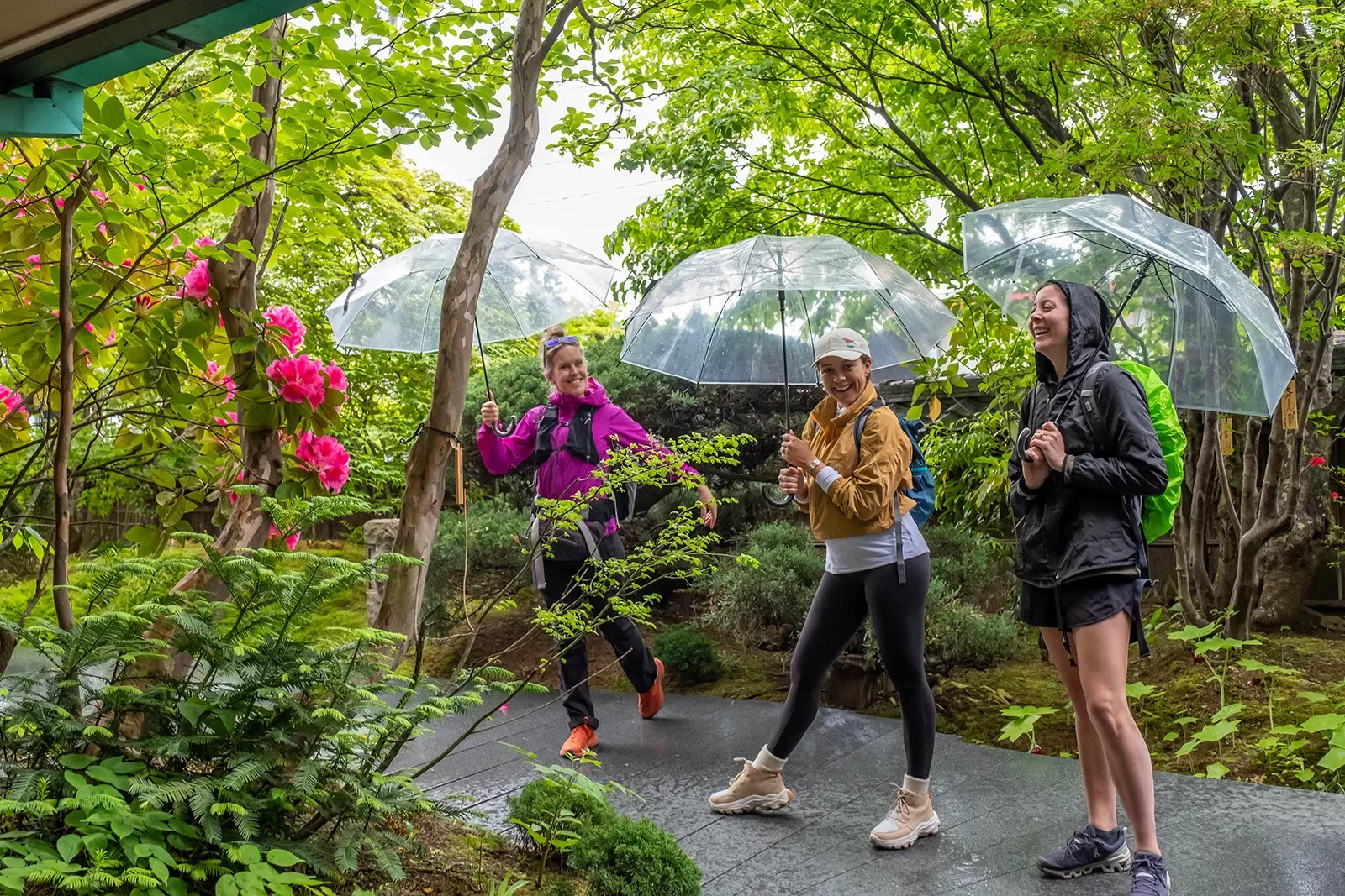 Backroads guests taking a walk in the rain in Japan holing clear umbrellas