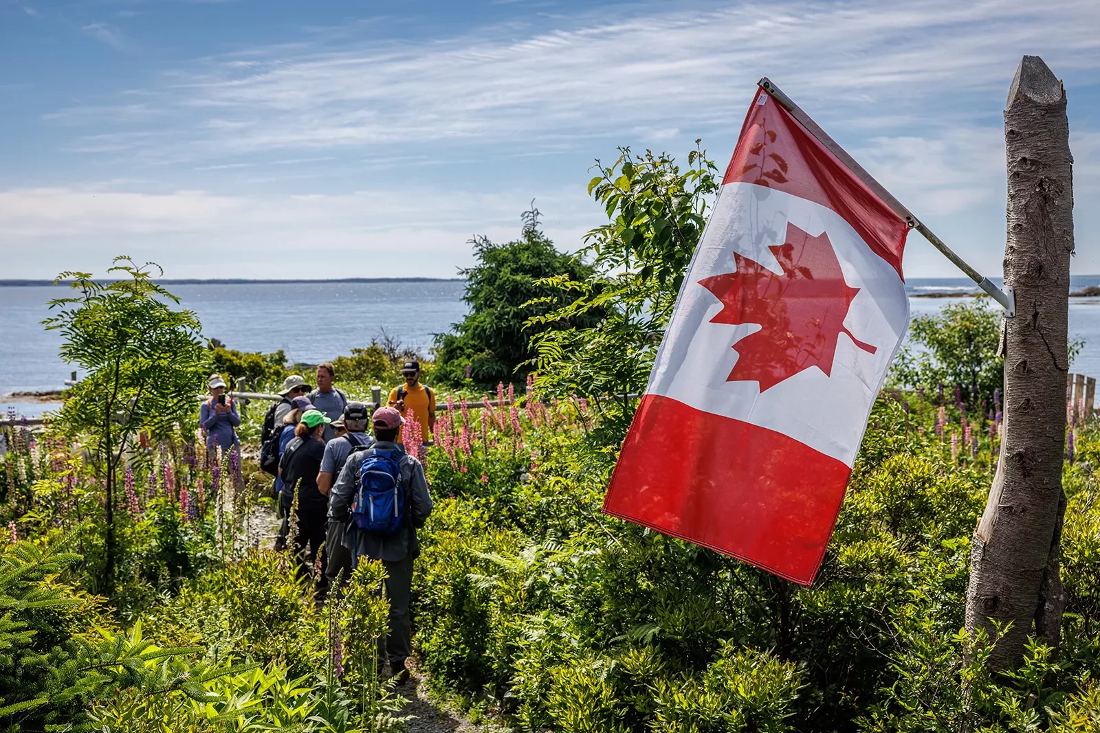 Guests in coastal garden, Canadian flag in foreground.
