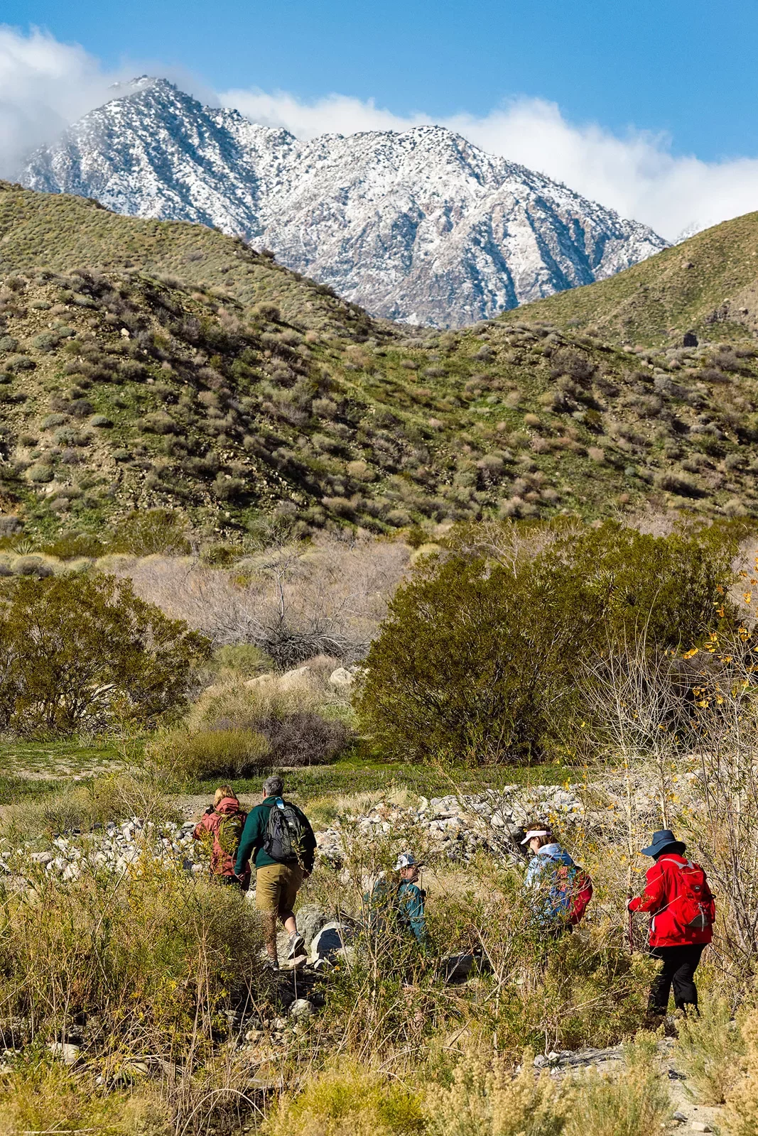 Guests hiking in desert, snowy mountain far in background.