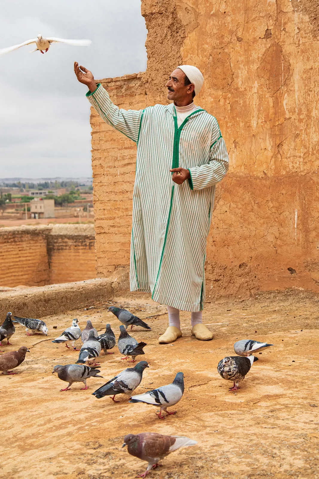 Man in kaftan surrounded by pigeons looks up at bird flying by