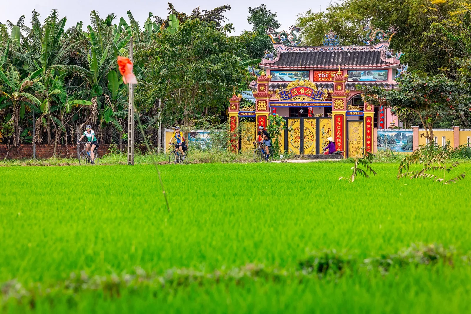 A green field with a colorful temple in the background
