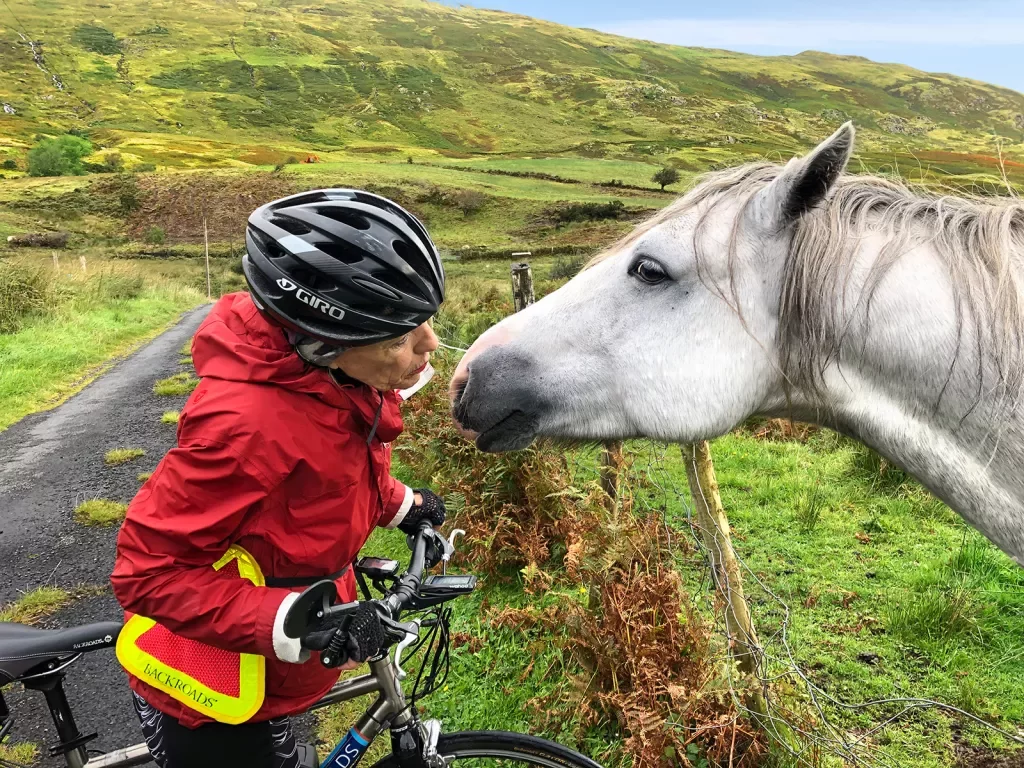 Guest Cyclist Talking to Horse Ireland