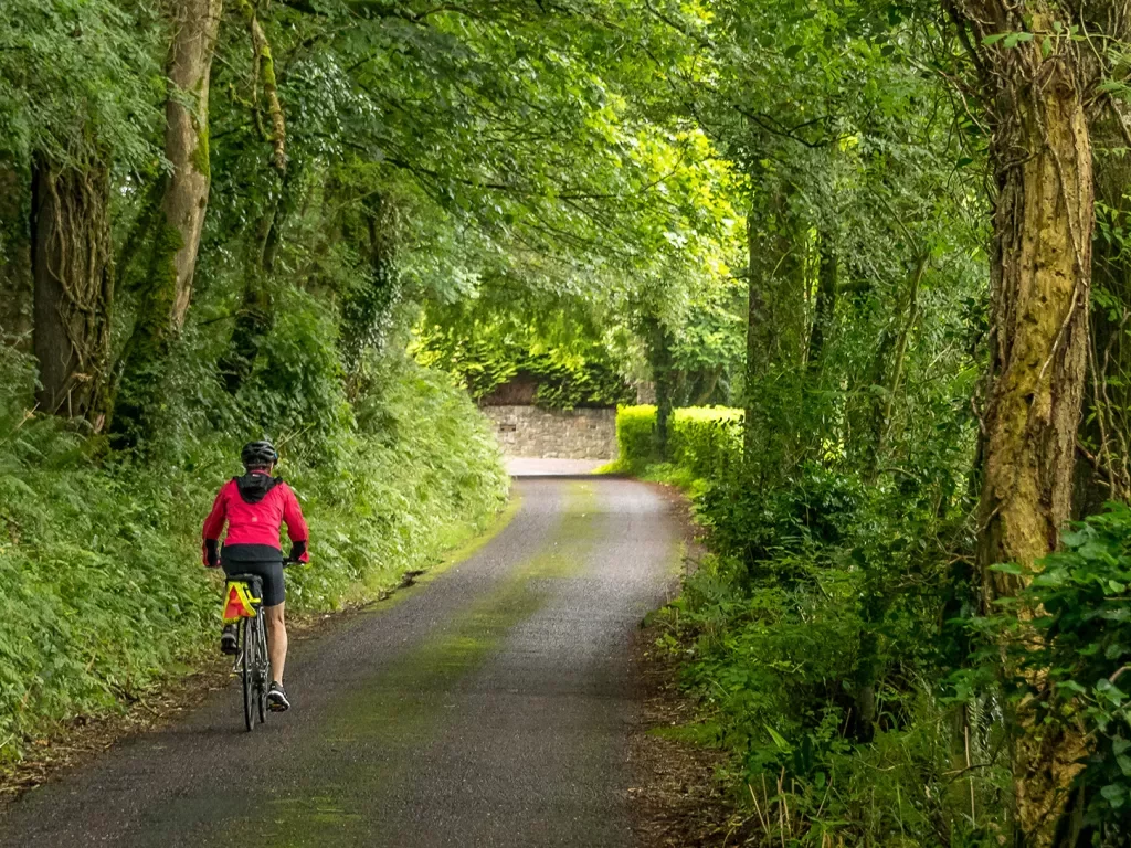 Cycling Forest Ireland