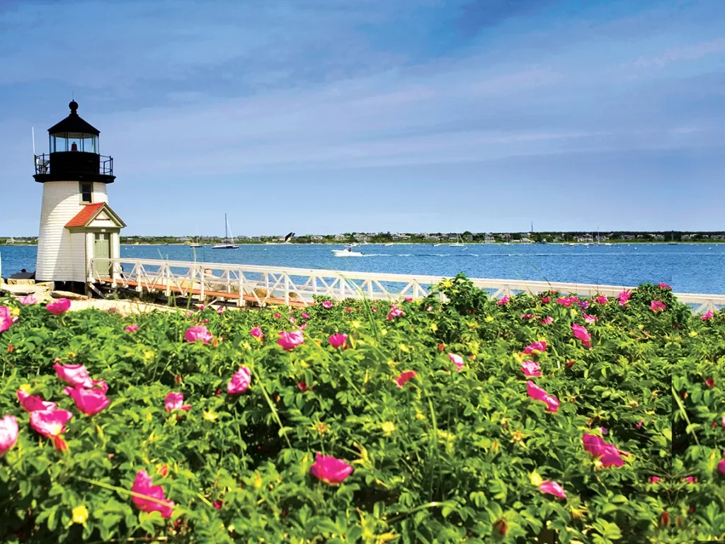 Wide shot of small lighthouse, pink flower bushes in foreground.