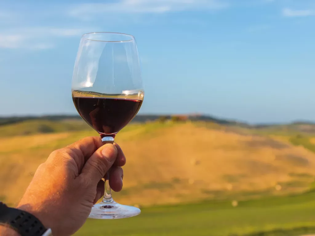 Point of view shot of Italian countryside, wine glass in hand.
