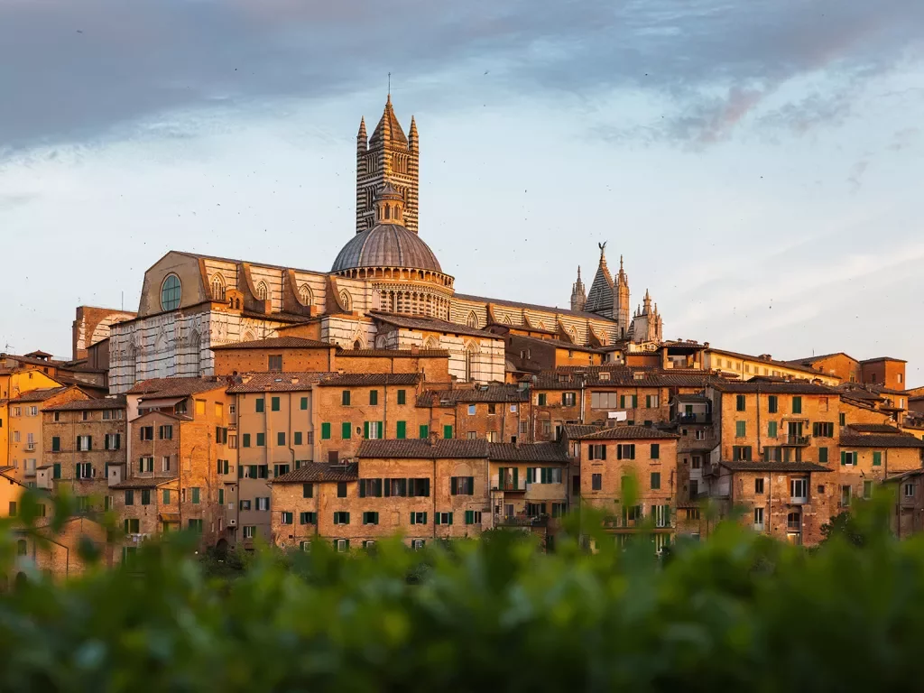 Wide shot of the Duomo di Siena.