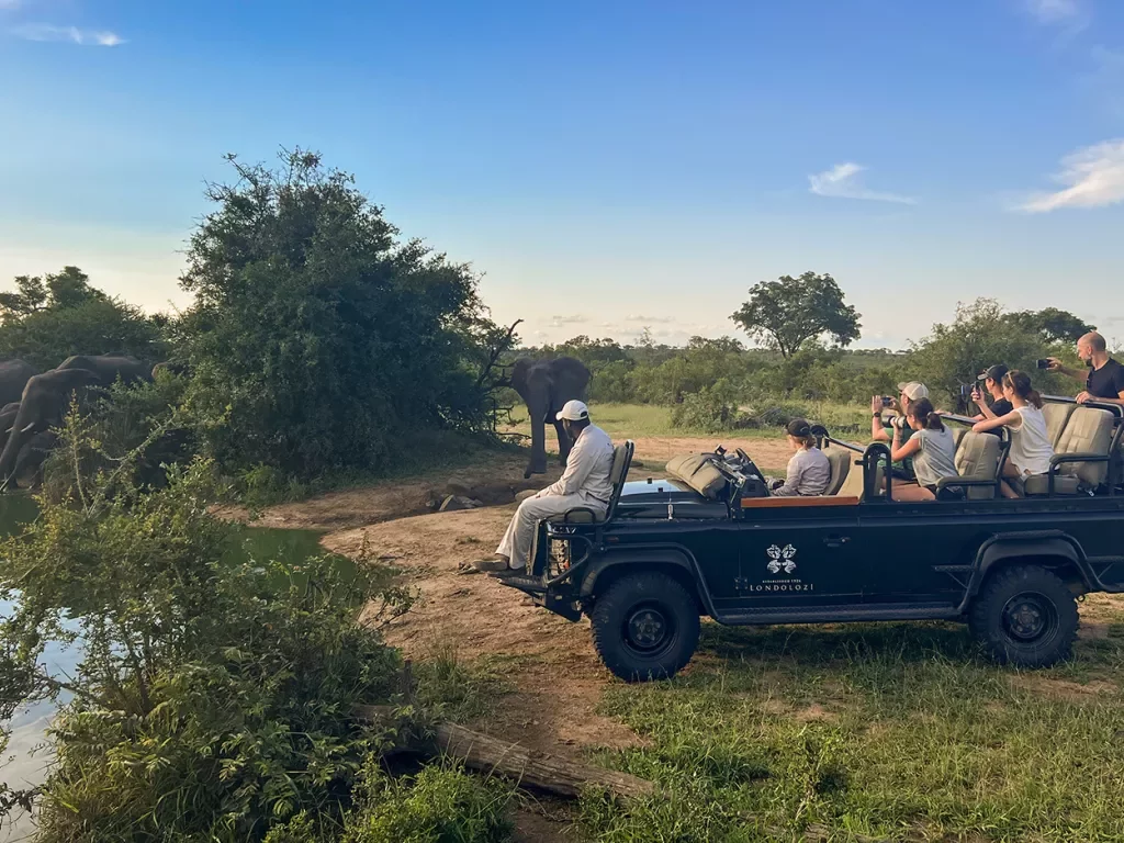 Group on safari taking photos of elephants at a watering hole