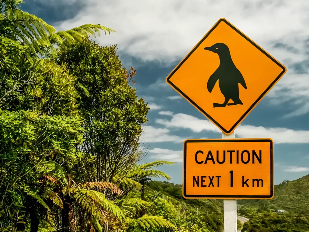 Penguin crossing sign in New Zealand