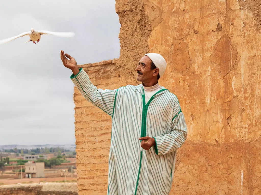 Man in kaftan surrounded by pigeons looks up at bird flying by