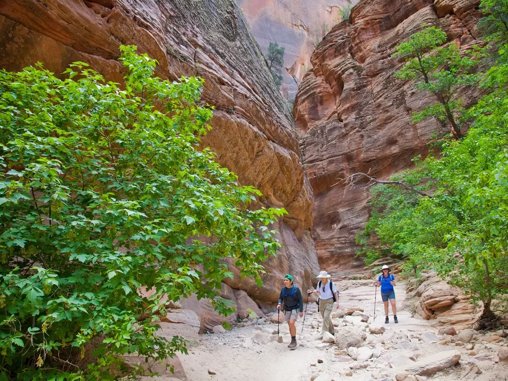 Guests walking through slot canyon