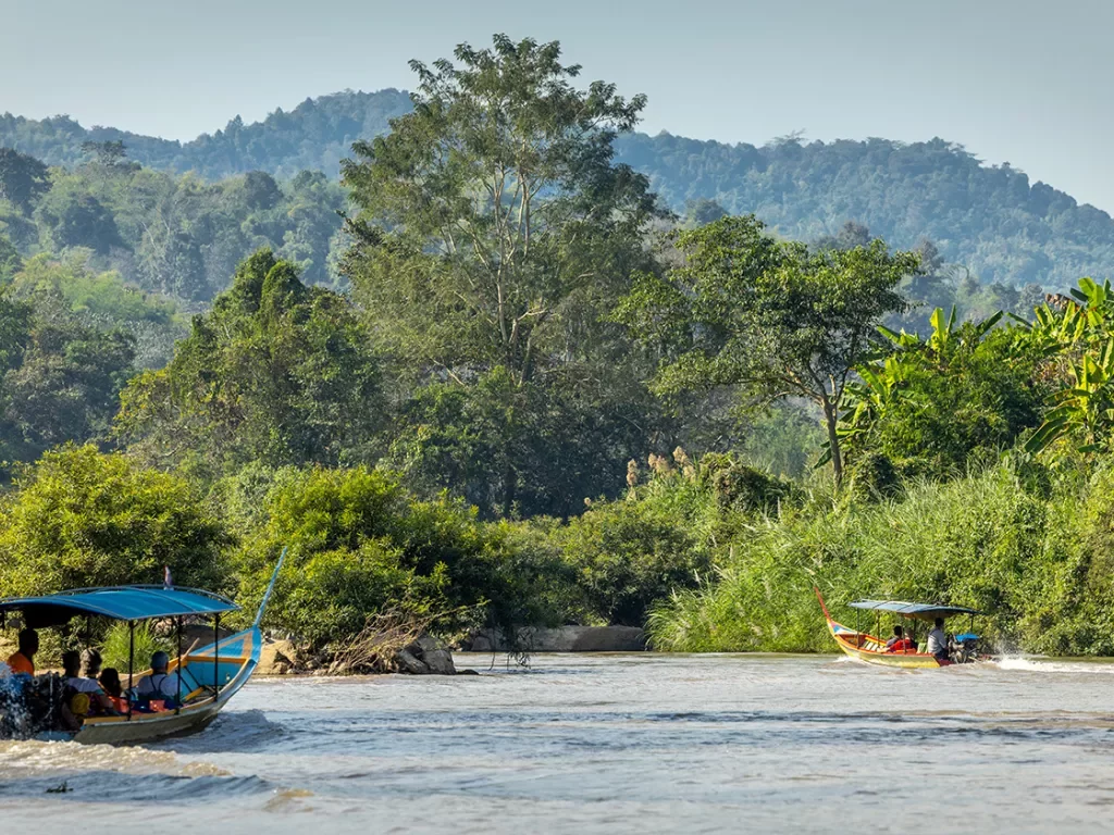 boat crossing a river towards a forested area