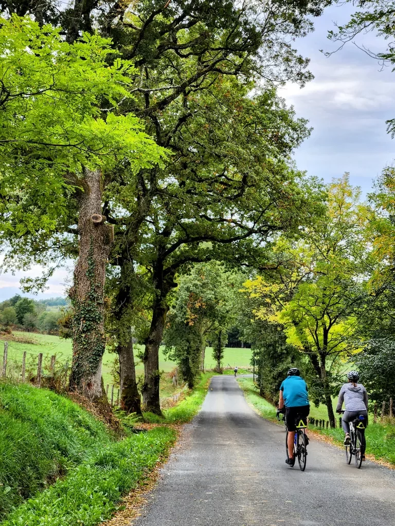 Two Backroads Guests Biking