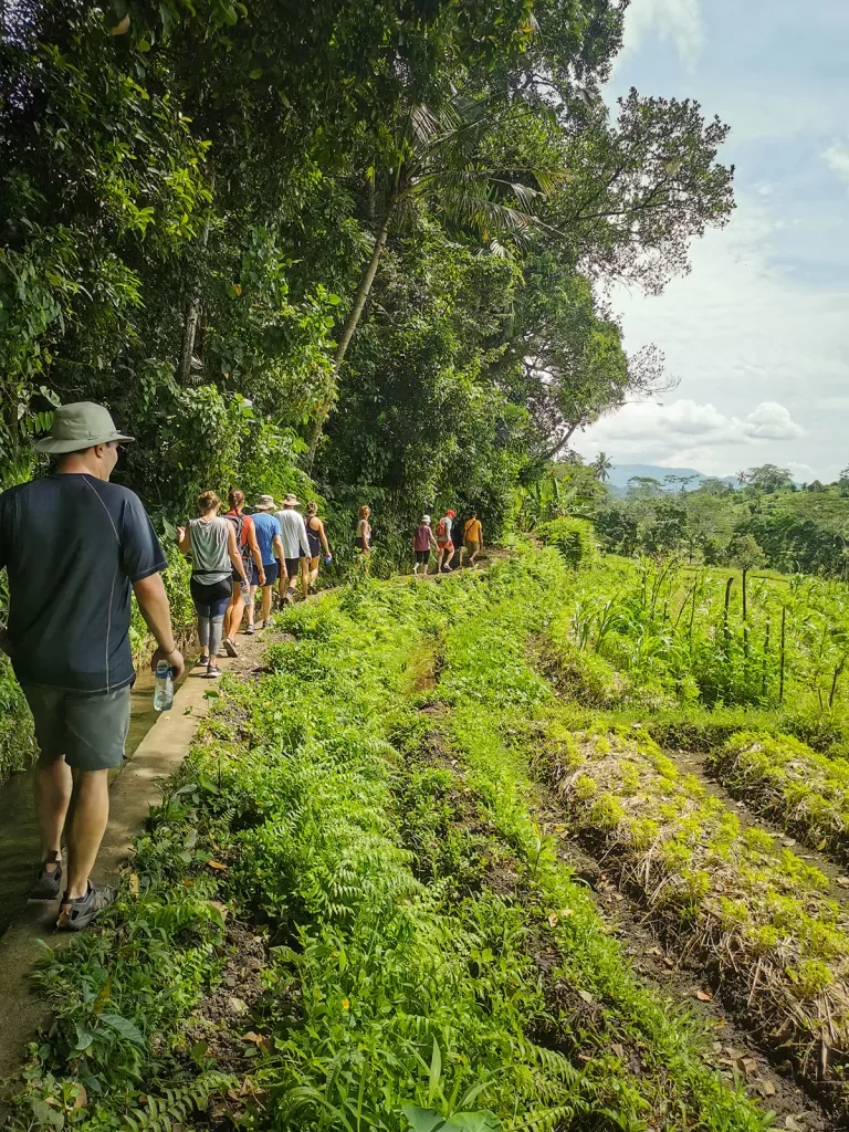 Walking along a lush jungle in Bali