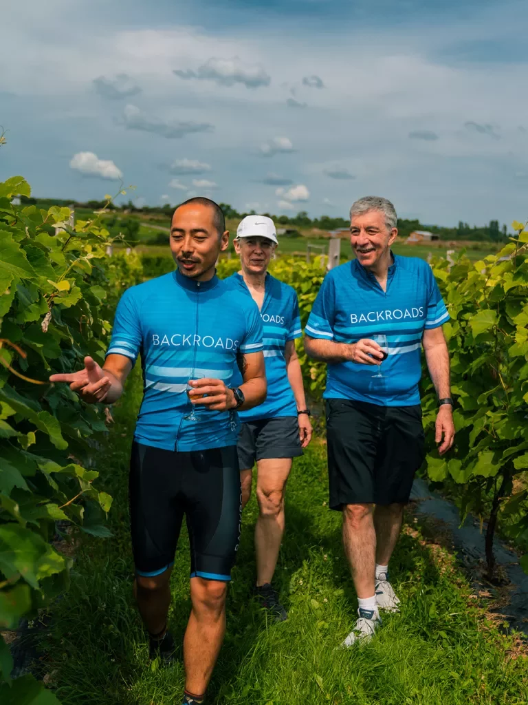 Three guests walking through vineyard, one pointing to grapes.