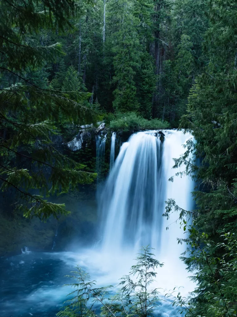 Shot of flowing waterfall surrounded by dark green forest.