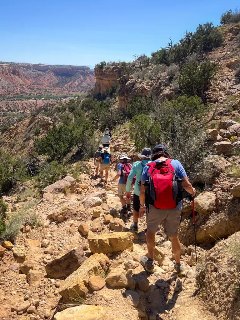 Guests hiking on desert trails