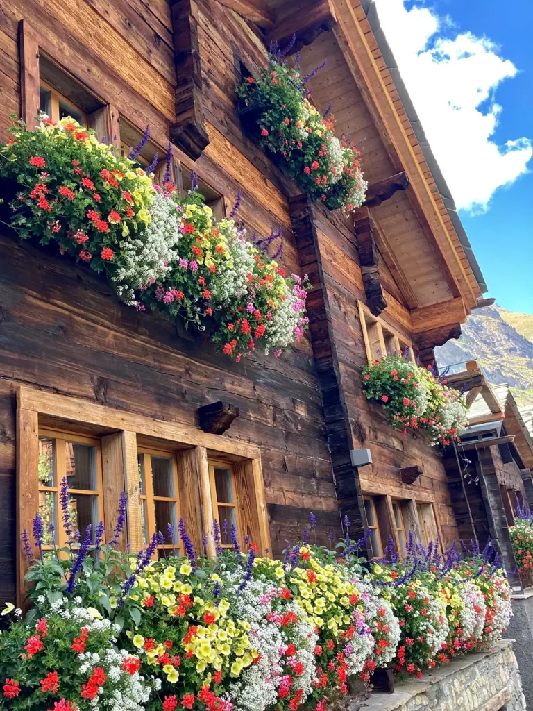 Storefront shot of wooden accommodation, flower bushes below windows.