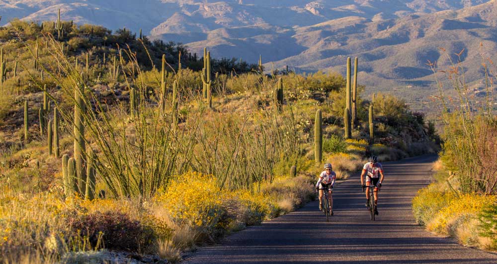 Arizona Biking - Saquaro National Park