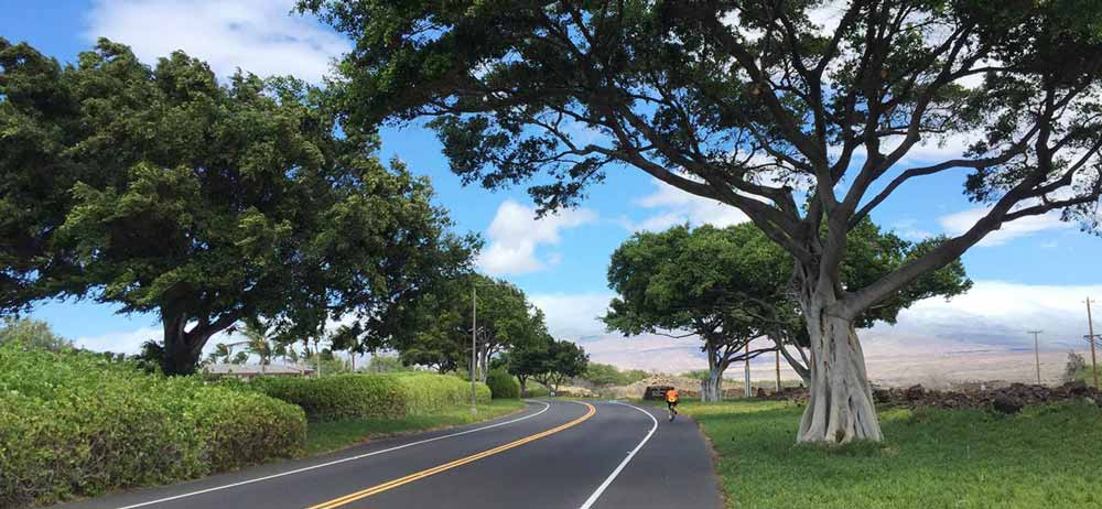 Hawaii Backroads Tour