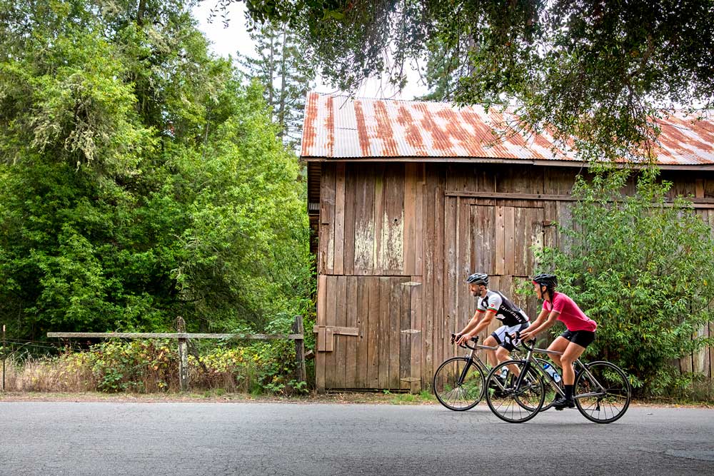 Wine Country Bike Tour