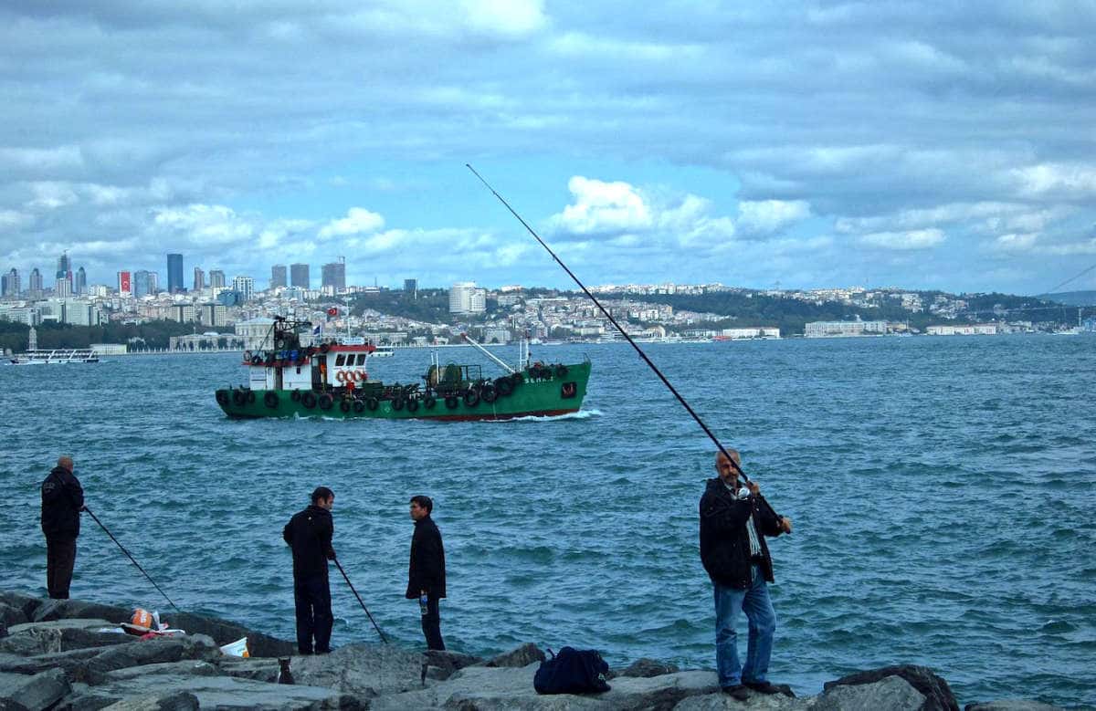 Local-anglers-line-the-shore-casting-for-schools-of-migrating-fish