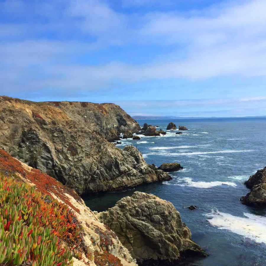 Sonoma Coast California