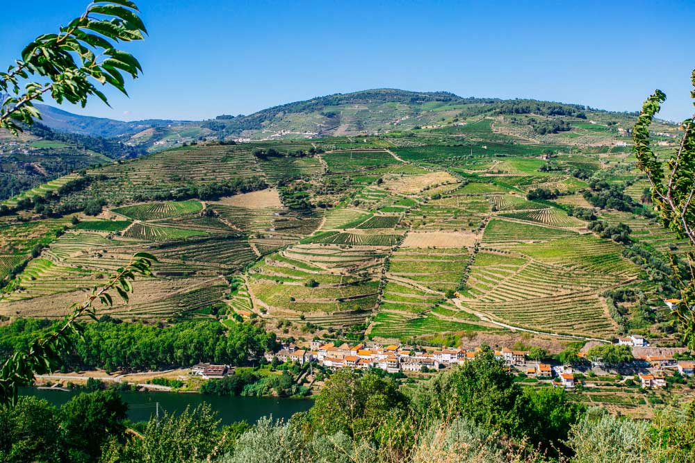 Portugal Countryside