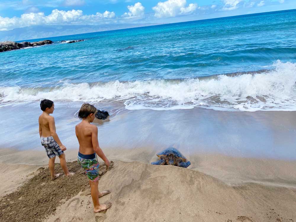 Hawaii Travel with Backroads - Family Trips