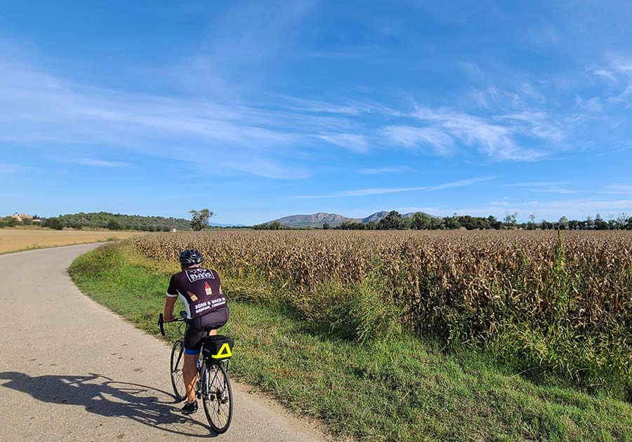 Pyrenees to Costa Brava Bike Tour - Biker on Road