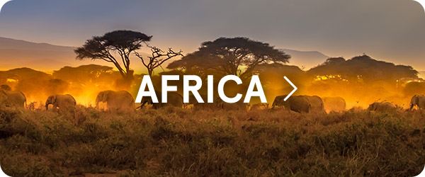 Africa
