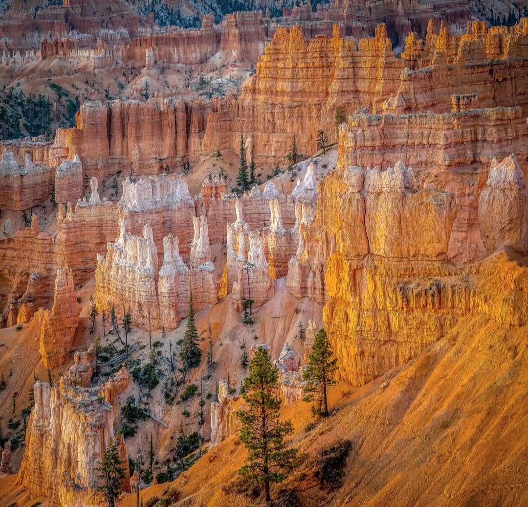 Bryce Canyon at sunset 
