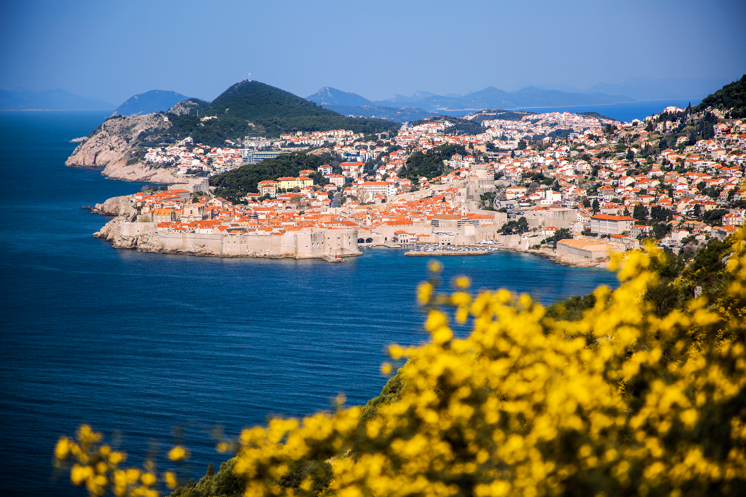 Dalmatia