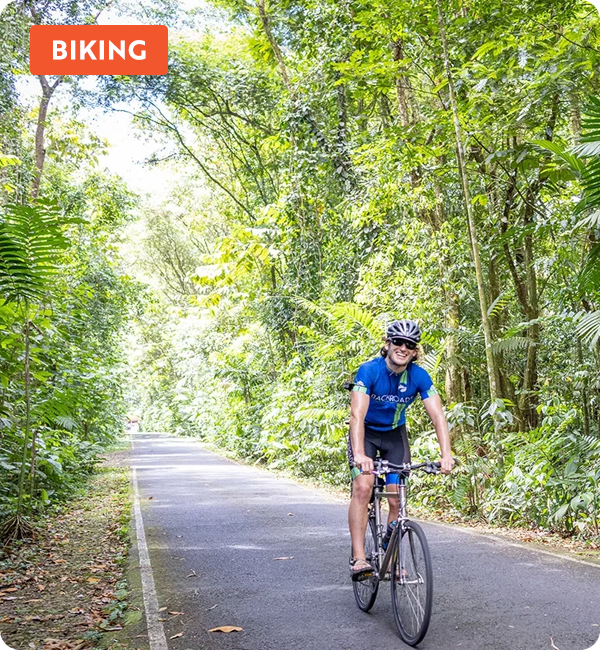 A cyclist biking along a road lined with greenery