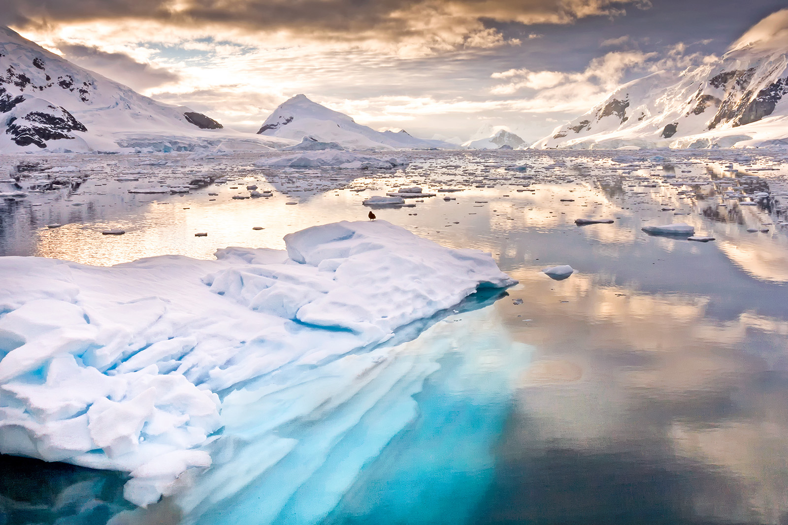 Landscape of Paradise Bay, Antarctica.