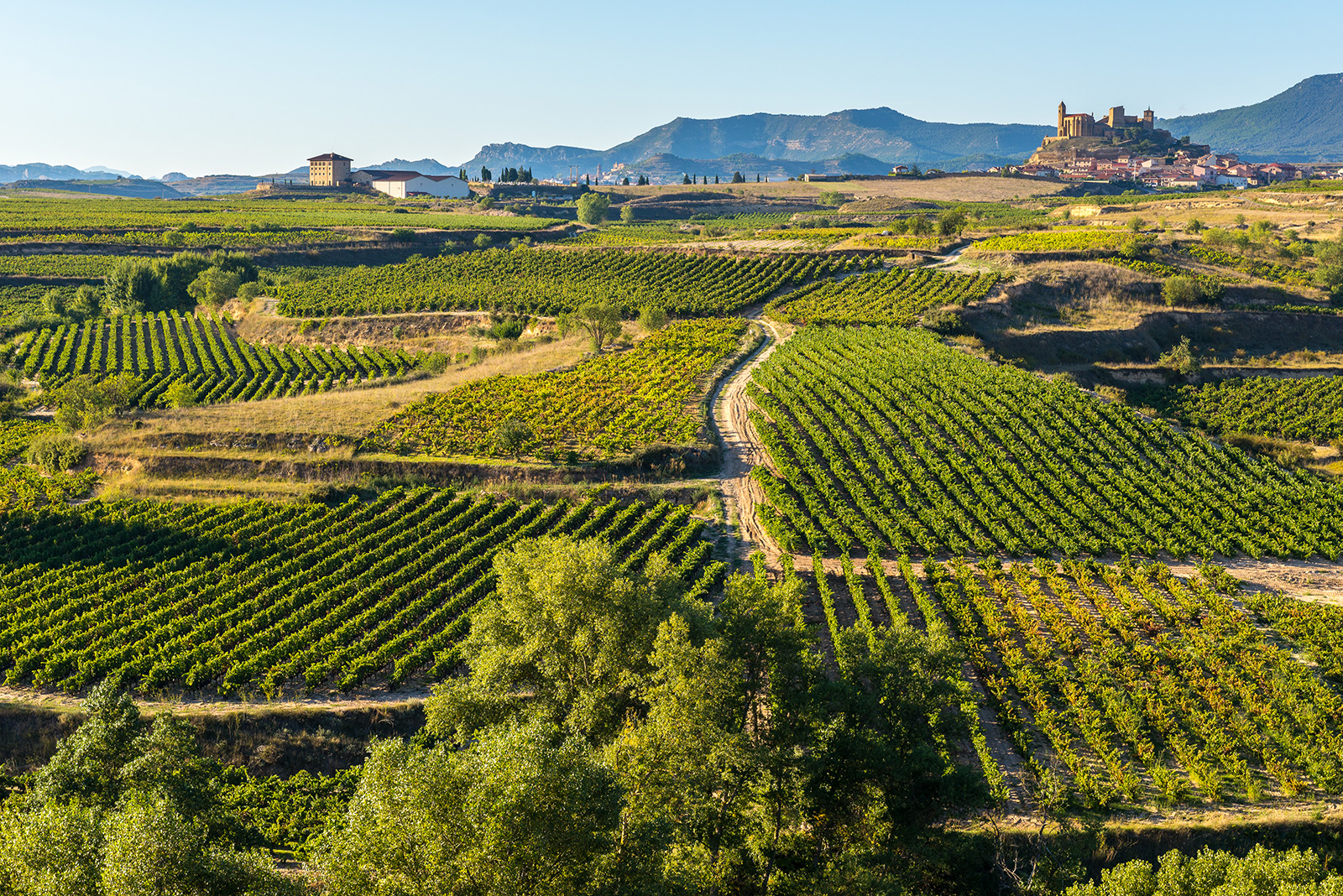 French Pyrenees to Basque Country Women's Hiking & Walking Tour
