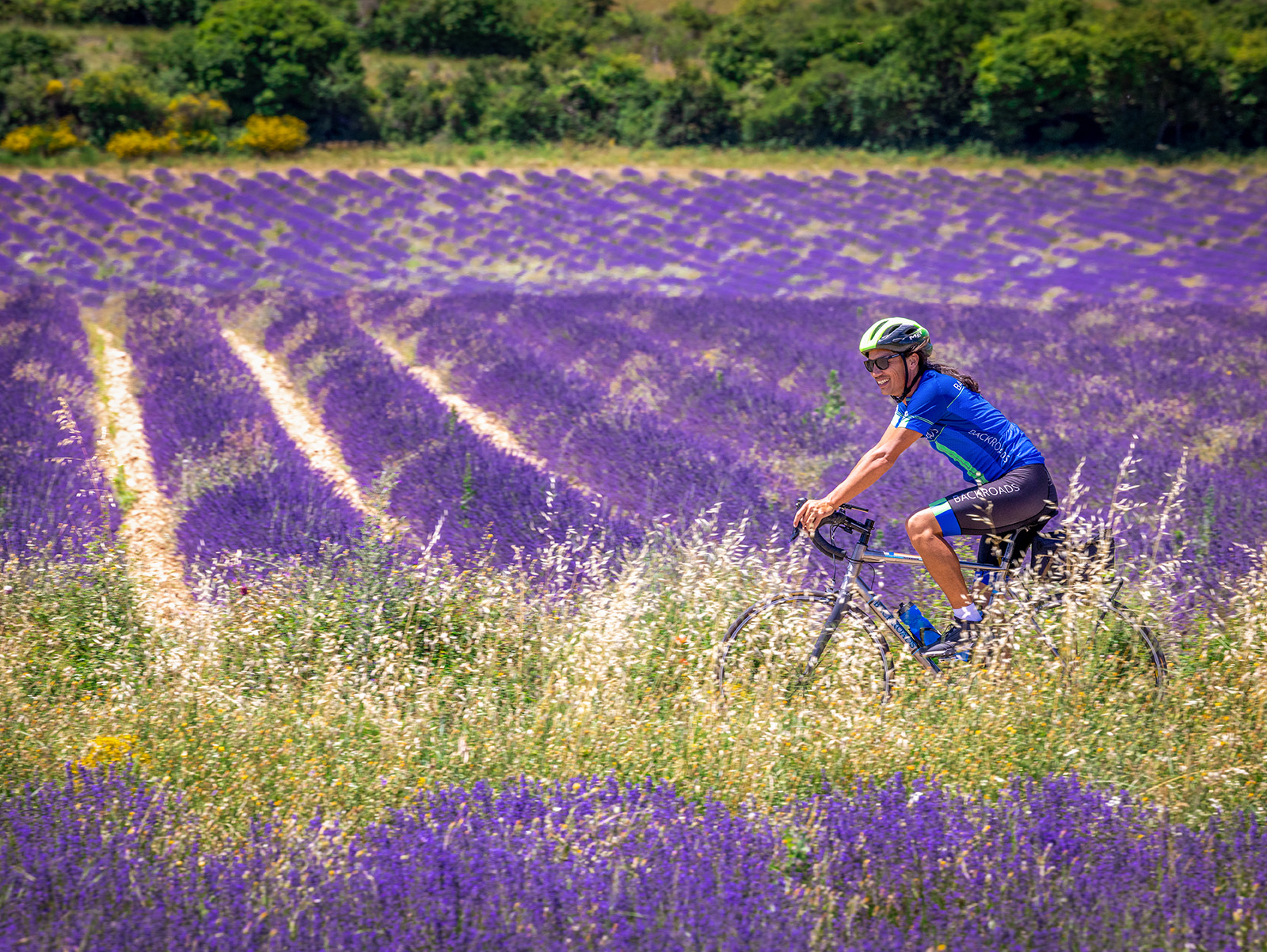 Guest cycling through lavender field.