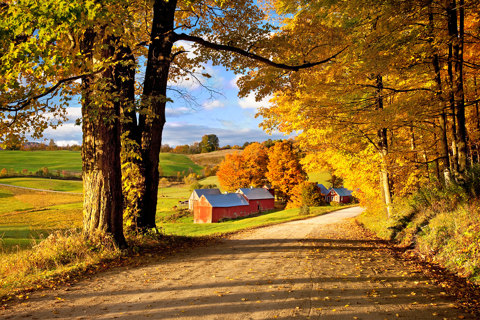 Wide shot of road, farmhouse, trees, hills in distance.