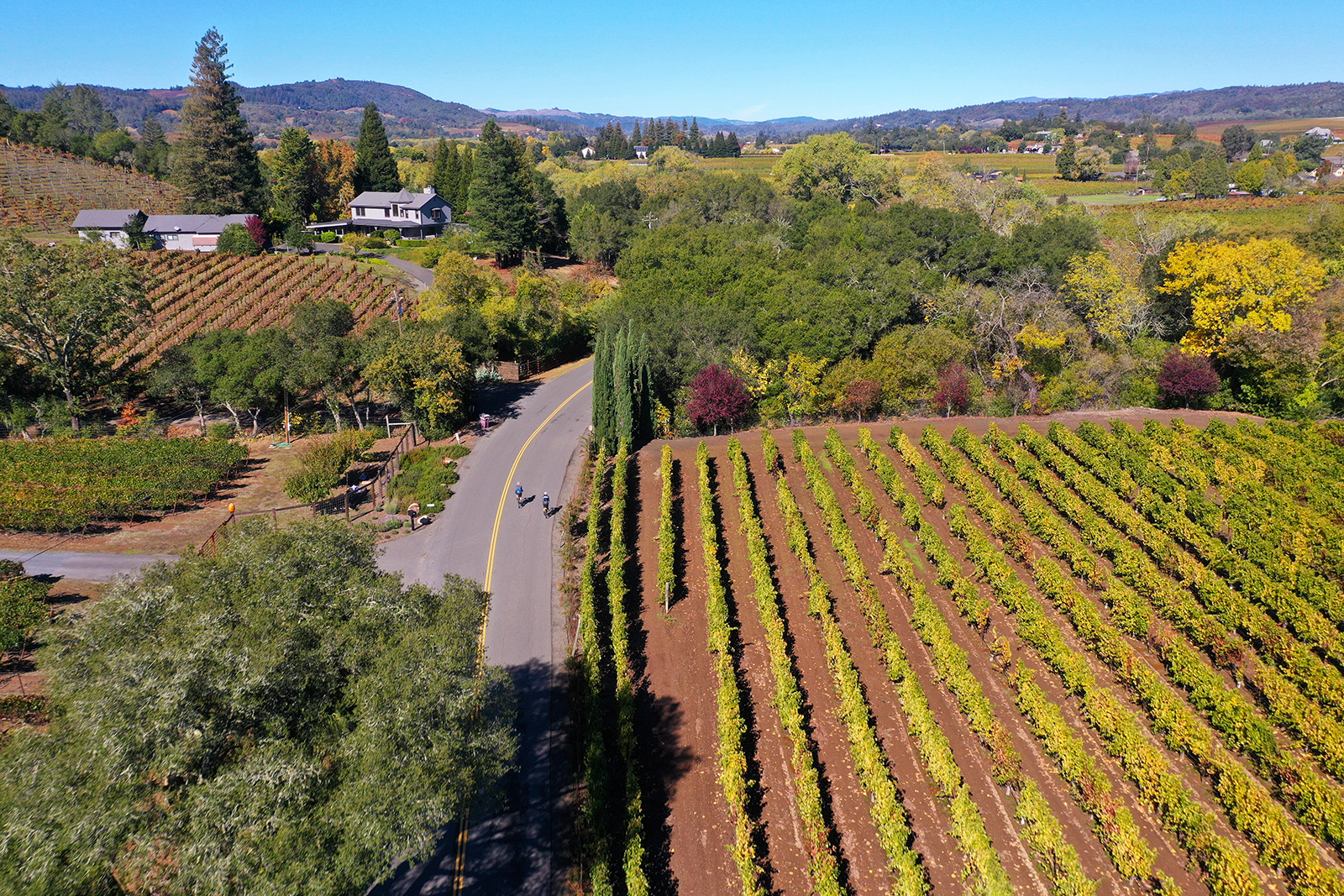 Two cyclists riding past vineyard, California hills in background.