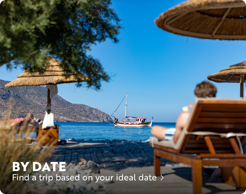 Find a trip by date
